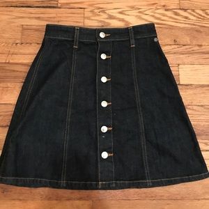 Alexa Chung x AG Skirt